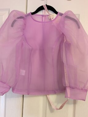 Choosy Sheer Lavender Organza Puff-Sleeve Top